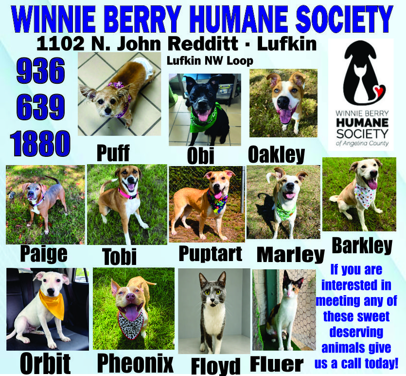 Pet of The Week Ad